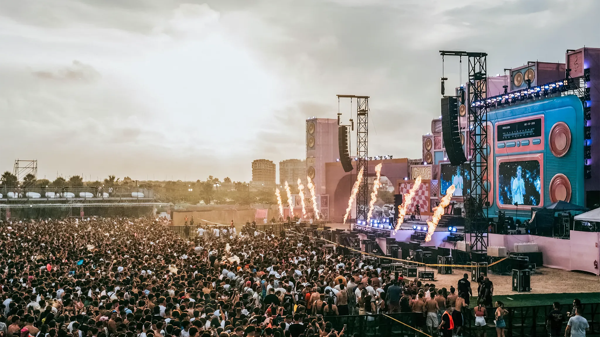 Zevra Festival 2025