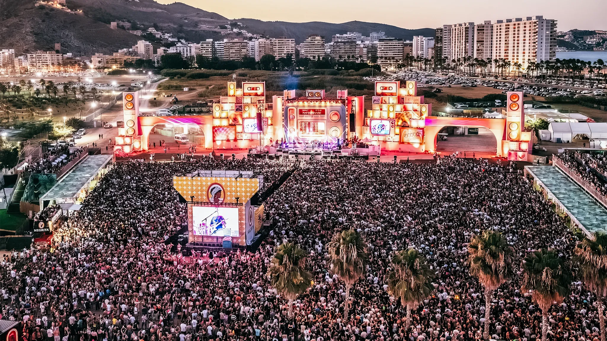 Zevra Festival 2025